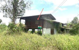 ทรัพย์ธนาคารโดย KASIKORNBANK บ้านเดี่ยว ซอย13/3 ถนนพหลโยธิน(ทล.1) สายใน