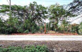 ทรัพย์ธนาคารโดย KASIKORNBANK ที่ดิน ถนนกลางเมือง