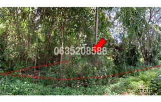 ขายที่ดิน ซอยบ้านวังธาร ถนนทางเข้าเขื่อนแม่กวงอุดมธารา (ชม.3044)