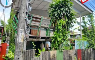 ทรัพย์สถาบันโดย GHB บ้านเดี่ยว ซอยเพชรหึงษ์28 ถนนเพชรหึงษ์