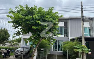 🏡 ให้เช่า / ขาย ทาวน์โฮม ซิตี้เซนส์ ( City Sense ) พระราม2-ท่าข้าม ถนน กาญจนาภิเษก พร้อมอยู่ : เจ้าของให้เช่าเอง (งดรับนายหน้า)