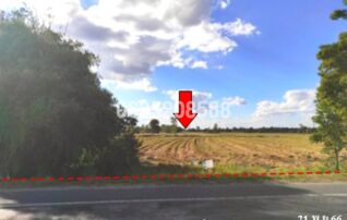 ขายที่ดิน ถนนบุรีรัมย์-พุทไธสง (ทล.2074)