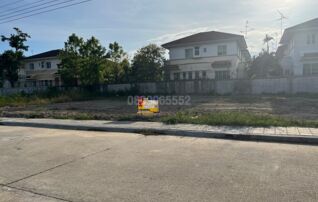 💖 ที่ดิน บางพลี ราคาพิเศษ! 💖