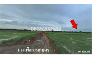 ขายที่ดิน ถนนสายชะอำ-คลองโคน (พบ.4028)