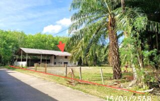 ทรัพย์ธนาคารโดย KASIKORNBANK โกดัง/โรงงาน ซอยประชาสรรค์ 2 ถนนเพชรเกษม (ทล.4)