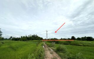 ทรัพย์ธนาคารโดย KASIKORNBANK ที่ดิน ถนนสายโชคชัย-เดชอุดม(ทล.24)