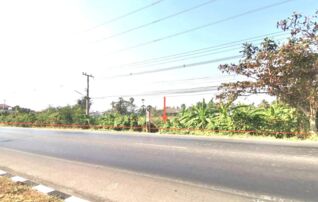 ทรัพย์สถาบันโดย KASIKORNBANK ที่ดิน ถนนเพชรเกษม (ทล.4)