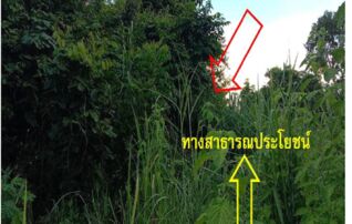 ทรัพย์สถาบันโดย GHB ที่ดิน บัวเหลี่ยมเพชร