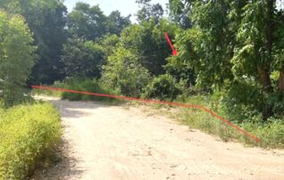 ทรัพย์สถาบันโดย KASIKORNBANK ที่ดิน ถนนสายบ้านดอนหว่าน - แกดำ (มค.2036)