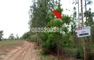 ขายที่ดิน ถนนสายบ้านโป่งคองเหนือ-บ้านเขว้า (ชย.3007)