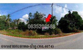 ขายบ้านเดี่ยว ถนนสายกะลาพอ-ปากู (ทล.4074)