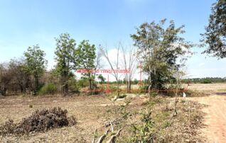 ทรัพย์ธนาคารโดย KASIKORNBANK ที่ดิน ถนนสายหนองแขวนกูบ - หนองยายดา (อน.4035)