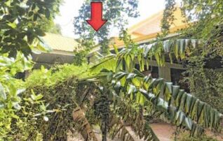ทรัพย์สถาบันโดย GHB บ้านเดี่ยว บ้านชีลอง