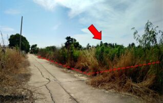 ทรัพย์สถาบันโดย บริษัท บริหารสินทรัพย์สุขุมวิท จำกัด ที่ดิน บ้านส่องแสง