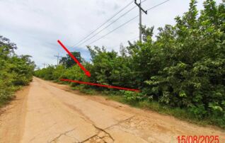 ทรัพย์ธนาคารโดย KASIKORNBANK ที่ดิน ถนนบ้านศาลาไชย - ม่อนแสนศรี(ลป.3161)