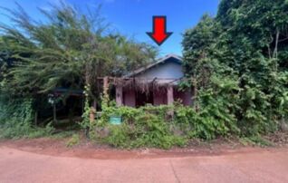 ทรัพย์สถาบันโดย ธอส. บ้านเดี่ยว ซอยบ้านวังบัวทอง-บ้านบึ ถนนทางหลวงชนบท ปจ.5009