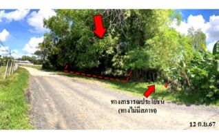 ทรัพย์สถาบันโดย บริษัท บริหารสินทรัพย์สุขุมวิท จำกัด ที่ดิน ถนนสายบ้านนาดูนน้อย-บ้านหนองเค็ง