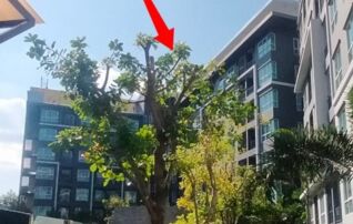 ทรัพย์ธนาคารโดย SCB คอนโด เดอะ เชนจ์ รีแล็กซ์ คอนโด (The Change Relax Condo)