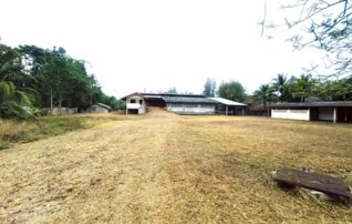 ทรัพย์ธนาคารโดย KASIKORNBANK บ้านเดี่ยว ถนนเพชรเกษม (ทล.4)
