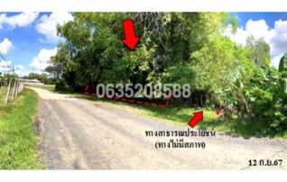ขายที่ดิน ถนนสายบ้านนาดูนน้อย-บ้านหนองเค็ง