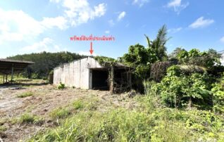 ทรัพย์ธนาคารโดย KASIKORNBANK บ้านเดี่ยว ถนนสายพนม - เขาต่อ (ทล.415)