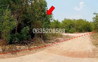 ขายที่ดิน ซอยบุญวิเศษ ถนนมิตรภาพ (ทล.2)