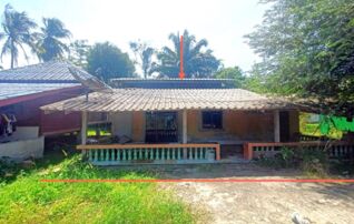 ทรัพย์ธนาคารโดย KASIKORNBANK บ้านเดี่ยว ถนนสายบ้านป่ากอ - บ้านป่าสน (สข.2006)