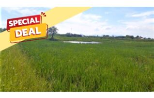 ทรัพย์สถาบันโดย บริษัท บริหารสินทรัพย์สุขุมวิท จำกัด ที่ดิน ถนนสายชะอำ-คลองโคน (พบ.4028)