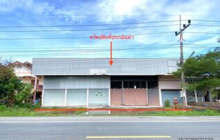 ทรัพย์ธนาคารโดย KASIKORNBANK โกดัง/โรงงาน ถนนสายระโนด - เกาะใหญ่ (สข.4009)