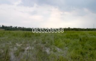 ขายที่ดิน สุรีย์ปาร์ค