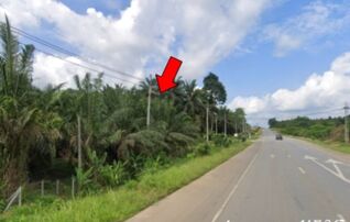 ทรัพย์สถาบันโดย บริษัท บริหารสินทรัพย์สุขุมวิท จำกัด ที่ดิน ถนนสายกระบี่-ขนอม (ทล.44)