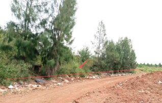 ทรัพย์ธนาคารโดย KASIKORNBANK ที่ดิน ถนนสายแยก ทล.201 - บ้านหนองตะไก้สามัคคี