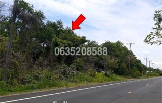 ขายที่ดิน ถนนพหลโยธิน (ทล.1)