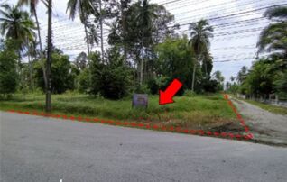ทรัพย์สถาบันโดย บริษัท บริหารสินทรัพย์สุขุมวิท จำกัด ที่ดิน ถนนมะม่วงทอง