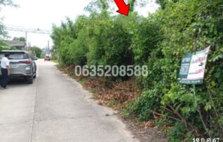 ขายที่ดิน ถนนแรงใจพัฒนา