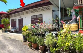 ขายบ้านเดี่ยว ถนนรัษฎา