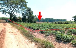ทรัพย์ธนาคารโดย KASIKORNBANK ที่ดิน ถนนเลียบคลองชลประทาน