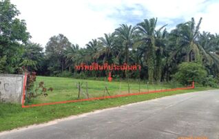 ทรัพย์ธนาคารโดย KASIKORNBANK ที่ดิน ถนนเพชรเกษม (ทล.4)