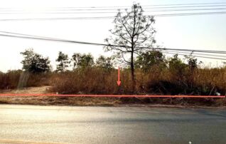 ทรัพย์ธนาคารโดย KASIKORNBANK ที่ดิน ถนนสายกุฉินารายณ์-สร้างค้อ(ทล.2291)