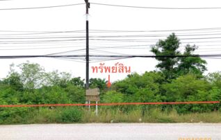 ทรัพย์ธนาคารโดย KASIKORNBANK ที่ดิน ถนนสายไชยา - ทุ่งนางเภา (ทล.4191)