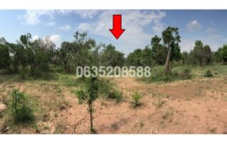 ขายที่ดิน ถนนเลี่ยงเมืองลำพูน (ทล.116)