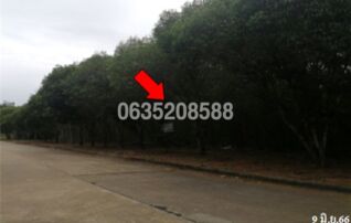ขายที่ดิน สนามกอล์ฟดราก้อนฮิลล์