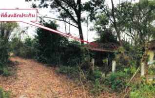 ทรัพย์ธนาคารโดย อาคารสงเคราะห์ บ้านเดี่ยว  ถนนหนองบัวลำภู-โนนสัง