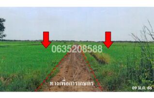 ขายที่ดิน ถนนสายชะอำ-คลองโคน (พบ.4028)