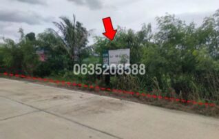 ขายที่ดิน ซอยอบต.ไทรน้อย (เก่า) ถนนบางกรวย-ไทรน้อย (ทล.3215)