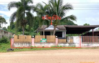 ทรัพย์ธนาคารโดย KASIKORNBANK บ้านเดี่ยว ถนนสายแยกทางหลวง 4035-ตลาดนัดบางสวรรค์