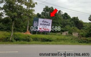 ขายที่ดิน ถนนตรัง-ทุ่งสง (ทล. 403)
