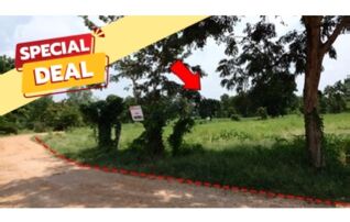 ทรัพย์สถาบันโดย บริษัท บริหารสินทรัพย์สุขุมวิท จำกัด ที่ดิน ถนนโนนสาทร-หนองปลาเฒ่า