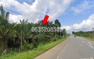 ขายที่ดิน ถนนสายกระบี่-ขนอม (ทล.44)