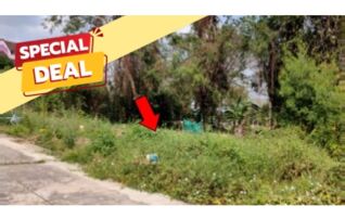 ทรัพย์สถาบันโดย บริษัท บริหารสินทรัพย์สุขุมวิท จำกัด ที่ดิน รอยัลปาร์คแลนด์